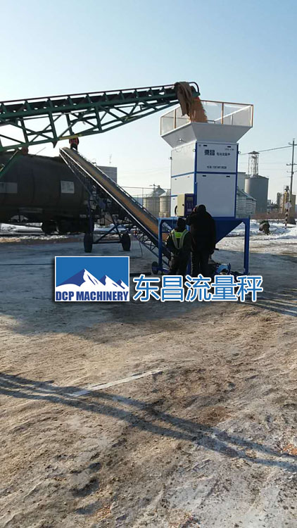 吉林糧食流量秤DCS-L100，50